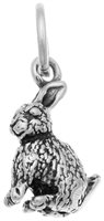 Charm Giovanni Raspini Charms in Argento 10193 - 10193